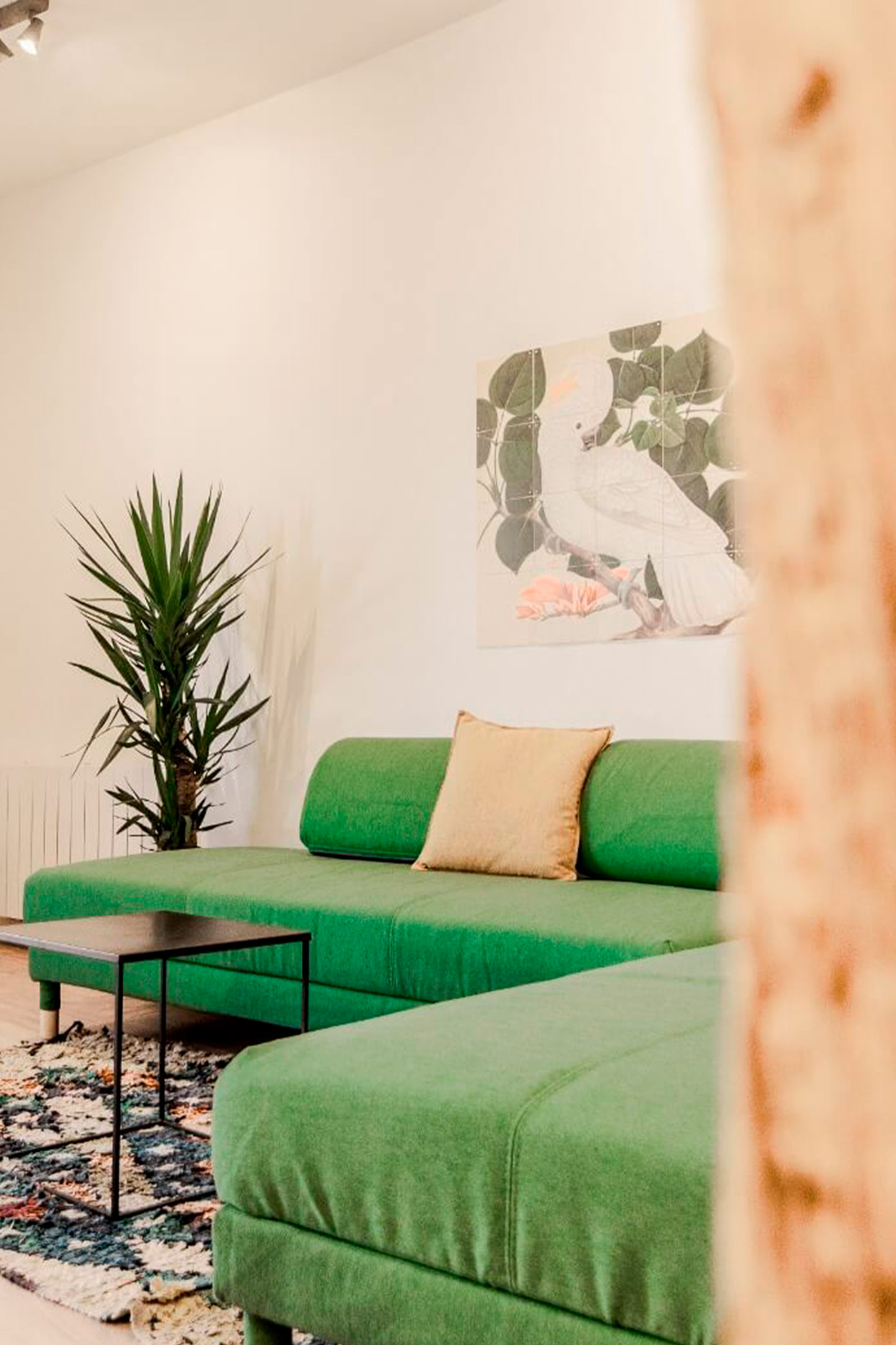 Servicio: Interiorismo